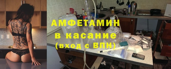 шишки Богородицк